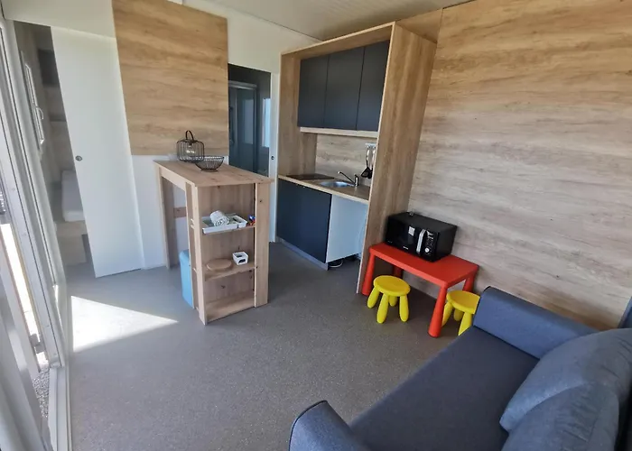 Mobile Homes With 2 Shared Pools